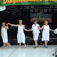 200408 119 Breikuchenfest