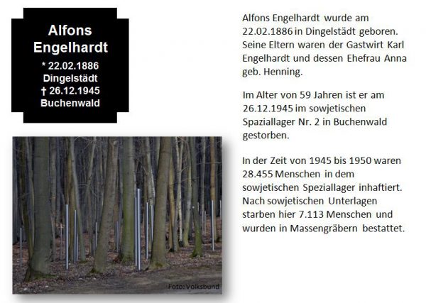 Engelhardt, Alfons