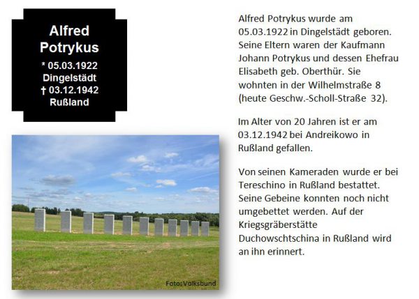 Potrykus, Alfred