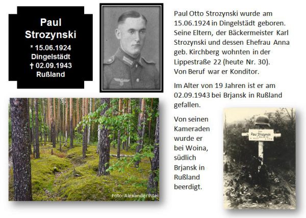 Strozynski, Paul