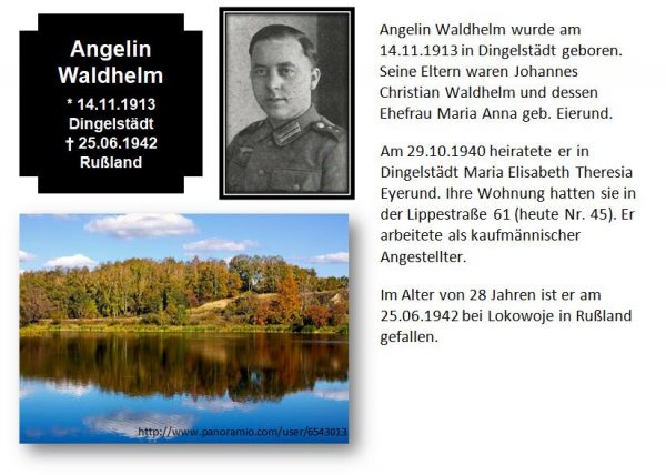 Waldhelm, Angelin